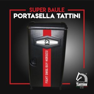 Baule portasella Tattini 76x57cm h.116cm