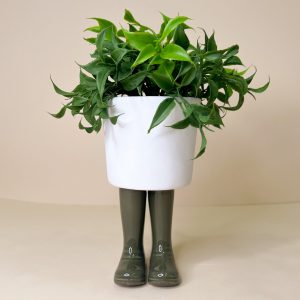 Vaso da Pianta Boots