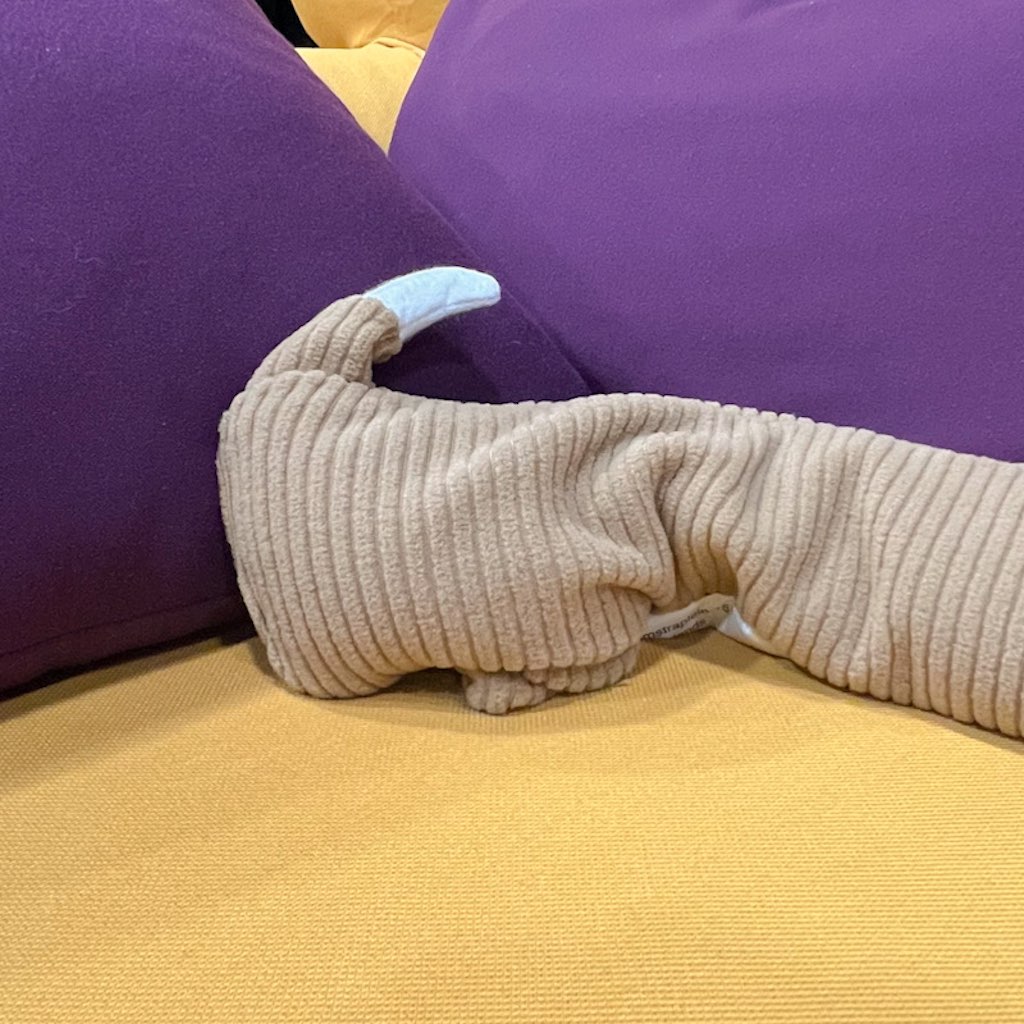 Cuscino Riscaldante Peluches Bassotto - immagine 7